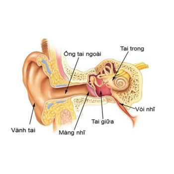 Biến chứng viêm tai